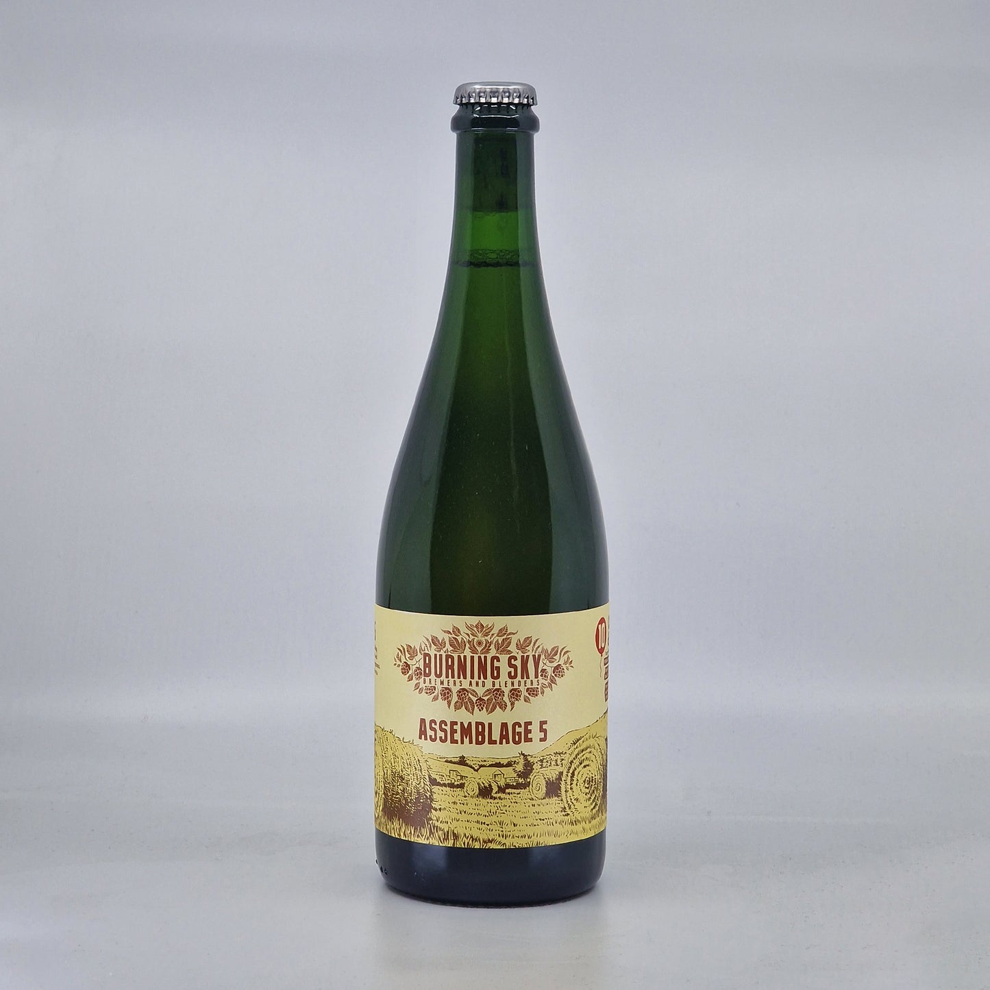 Burning Sky Assemblage 5