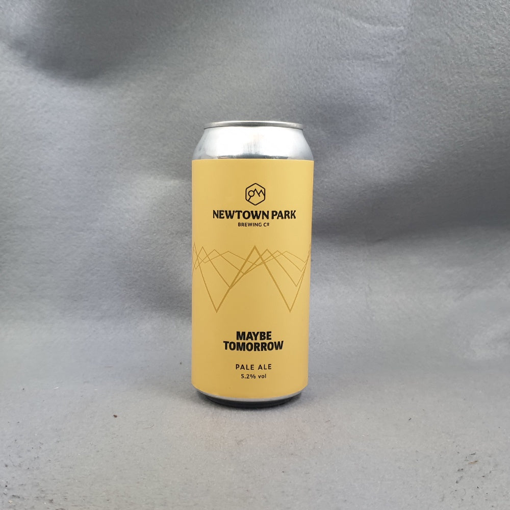 Newtown Park Maybe Tomorrow