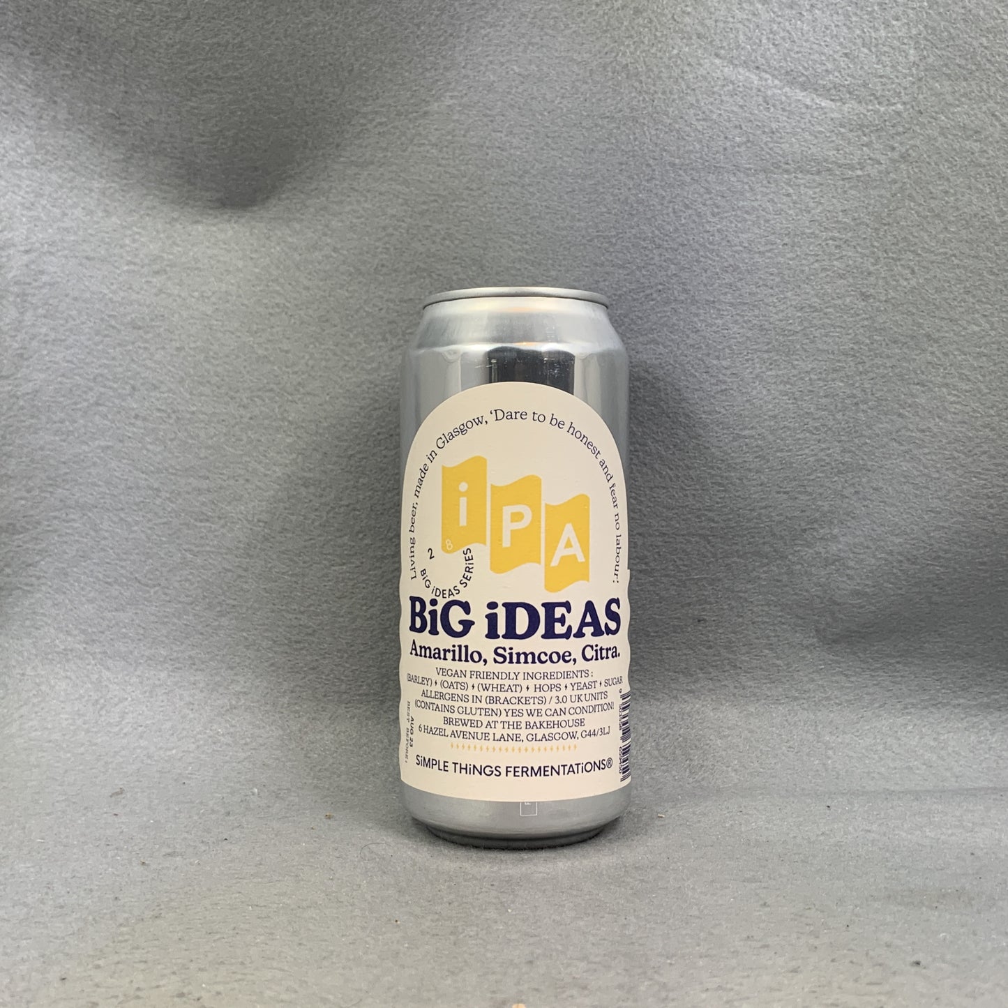 Simple Things Fermentations IPA Big Ideas Series 28