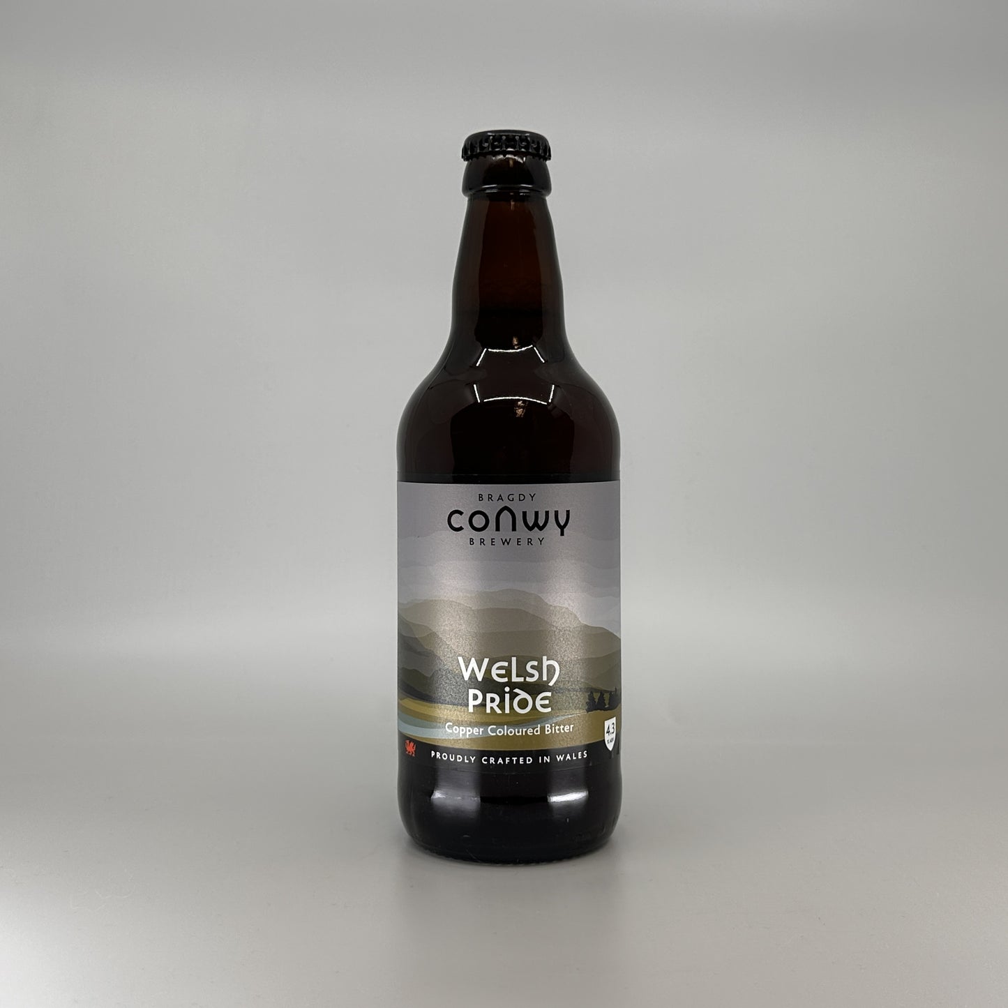 Conwy Welsh Pride