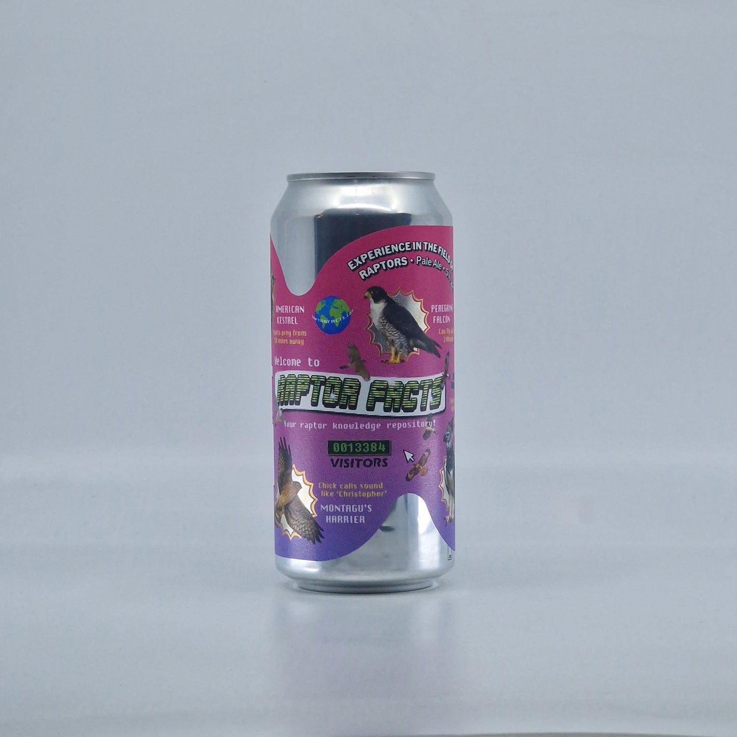 Sureshot Experience in the Field of Raptors