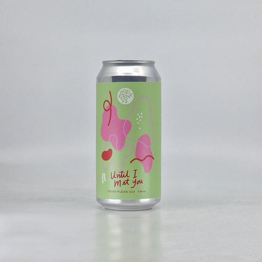 Wilderness Until I Met You