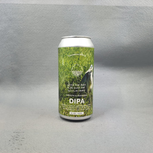 Cloudwater When The Bird Flies Away the Sky Falls Away