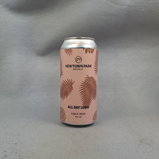 Newtown Park All Day Long