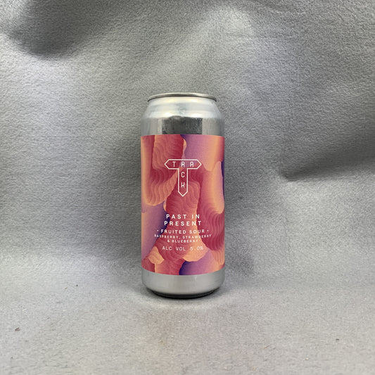 Track Past In Present