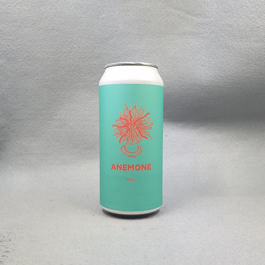 Pomona Island Anemone