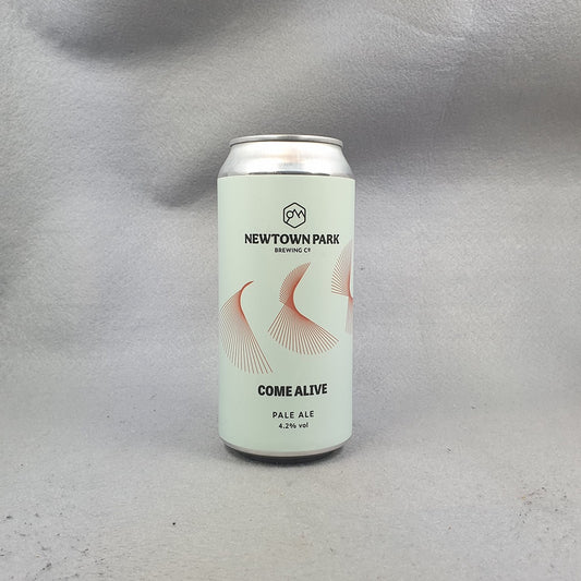 Newtown Park Come Alive