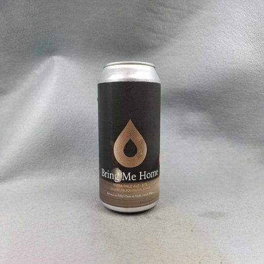 Polly's Bring Me Home