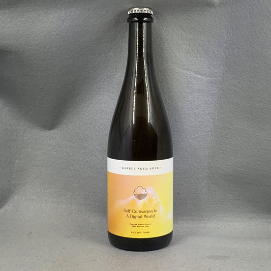 Cloudwater Self Cultivation In a Digital World