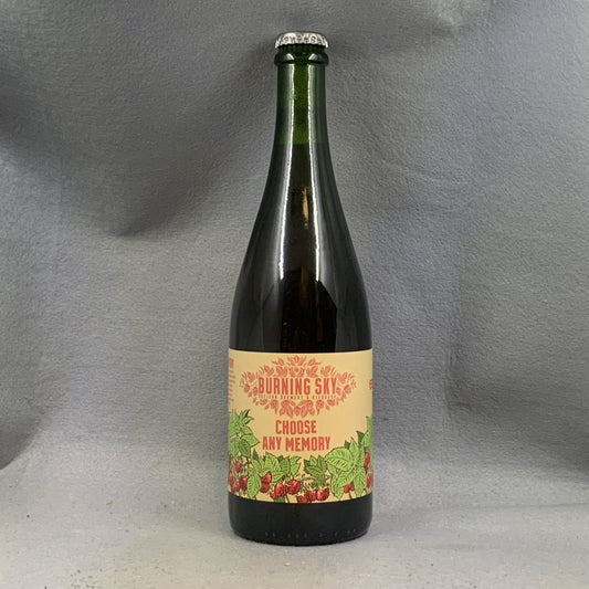 Burning Sky Choose Any Memory