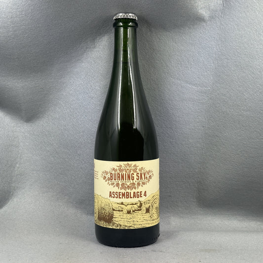 Burning Sky Assemblage 4