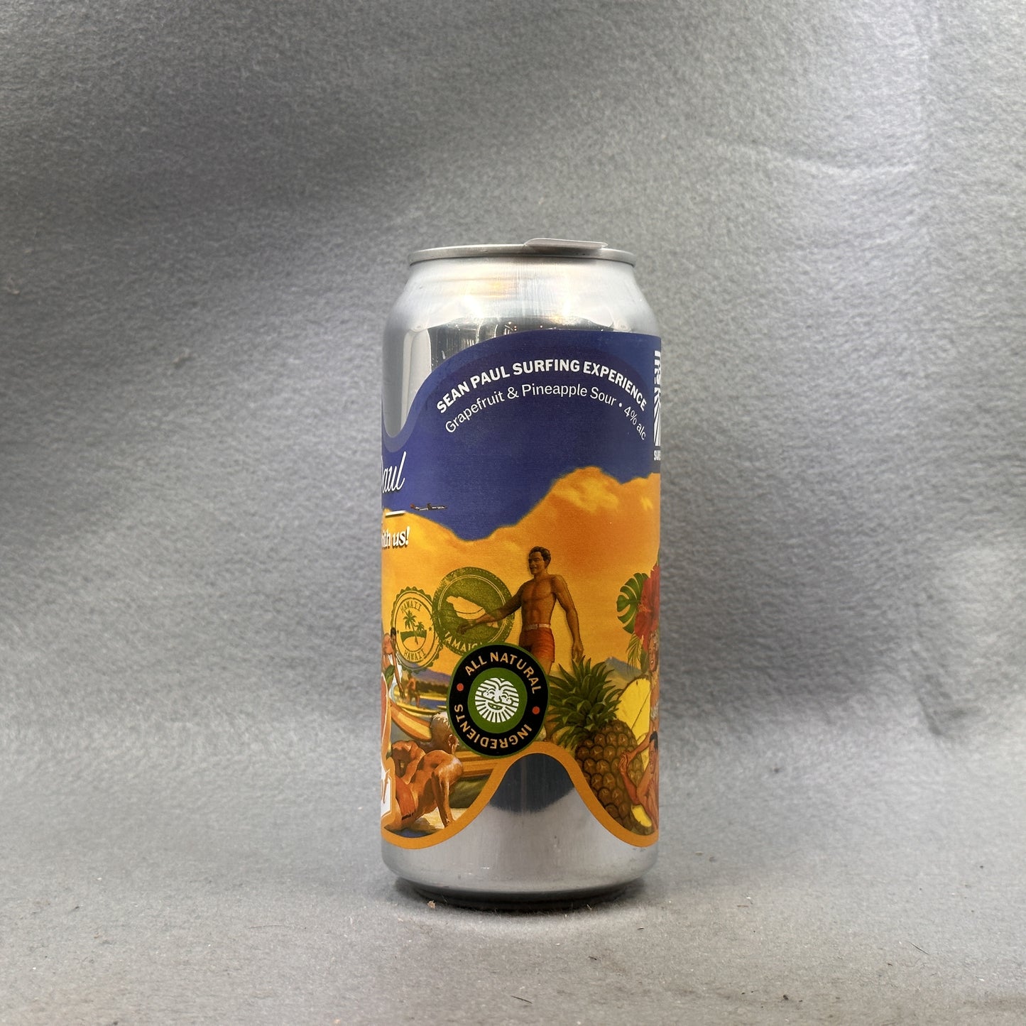 Sureshot (x Pilot) Sean Paul Surfing Experience