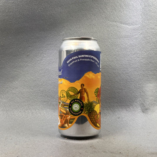 Sureshot (x Pilot) Sean Paul Surfing Experience