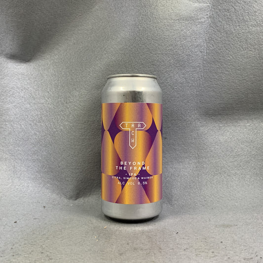 Track Beyond the Frame