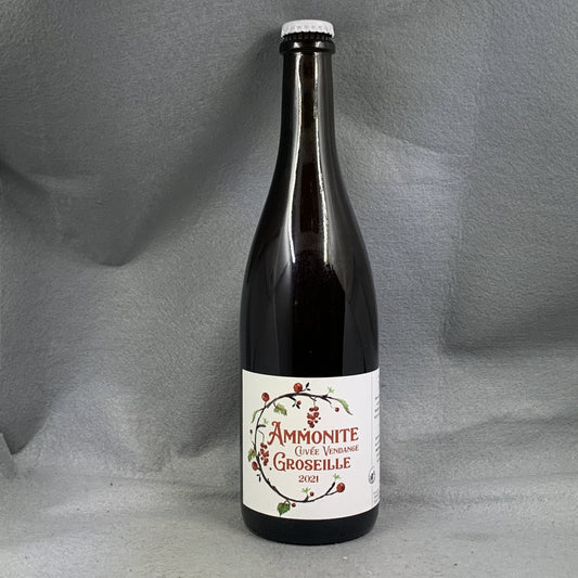Ammonite Vendange Groseille '21