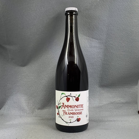 Ammonite Vendange Framboise '21