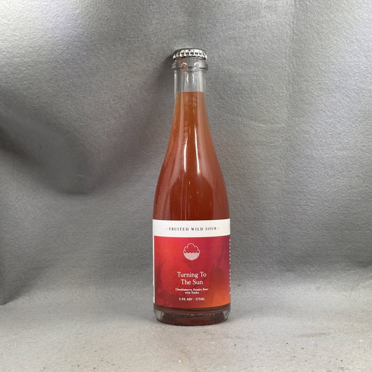 Cloudwater Turning to the Sun