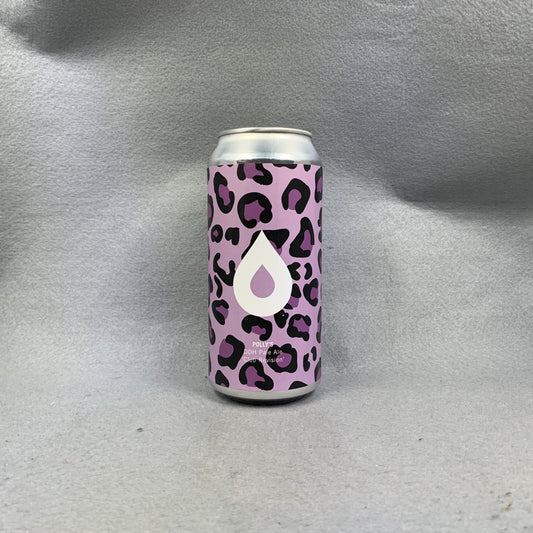 Polly's Club Revision