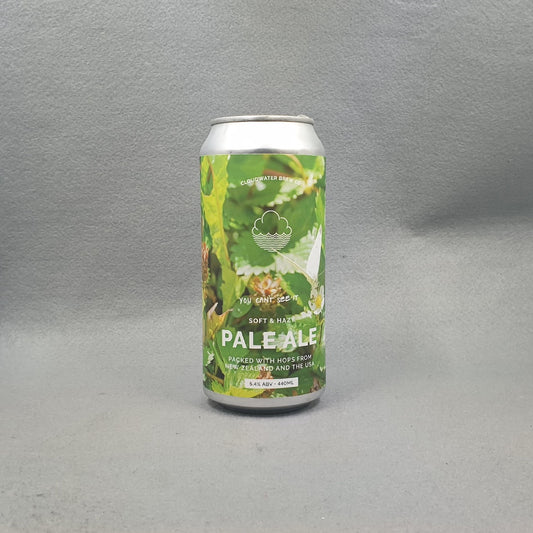 Cloudwater You Can't See It